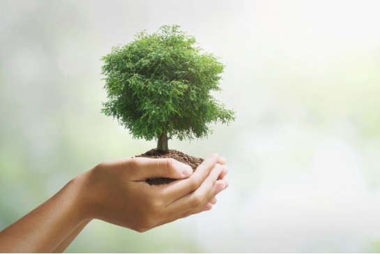 Giới thiệu về Biotech